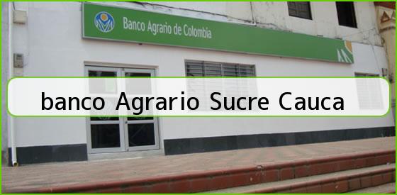 Ver banco agrario sucre cauca <b>banco Agrario Sucre Cauca</b>