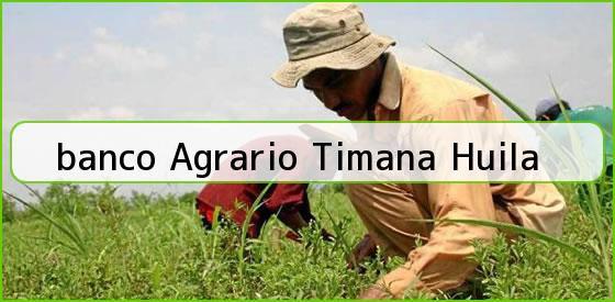 <b>banco Agrario Timana Huila</b>