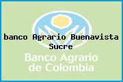 Ver banco agrario buenavista sucre <i>banco Agrario Buenavista Sucre</i>