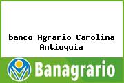 <i>banco Agrario Carolina Antioquia</i>