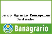 <i>banco Agrario Concepcion Santander</i>