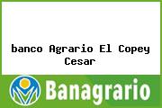 <i>banco Agrario El Copey Cesar</i>