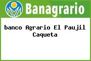 Ver banco agrario el paujil caqueta <i>banco Agrario El Paujil Caqueta</i>
