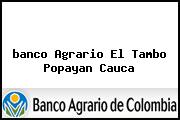 <i>banco Agrario El Tambo Popayan Cauca</i>