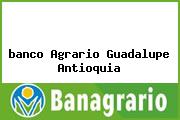 <i>banco Agrario Guadalupe Antioquia</i>