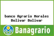 <i>banco Agrario Morales Bolivar Bolivar</i>
