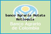 Ver banco agrario mutata antioquia <i>banco Agrario Mutata Antioquia</i>