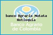 <i>banco Agrario Mutata Antioquia</i>