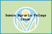 <i>banco Agrario Pelaya Cesar</i>