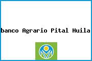 <i>banco Agrario Pital Huila</i>