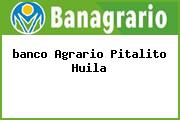 <i>banco Agrario Pitalito Huila</i>