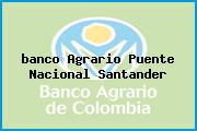 Ver banco agrario puente nacional santander <i>banco Agrario Puente Nacional Santander</i>