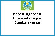 Ver banco agrario quebradanegra cundinamarca <i>banco Agrario Quebradanegra Cundinamarca</i>