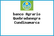 <i>banco Agrario Quebradanegra Cundinamarca</i>