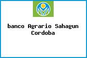 <i>banco Agrario Sahagun Cordoba</i>