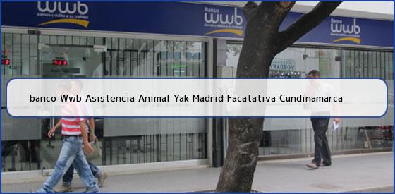 Ver banco wwb asistencia animal yak madrid facatativa cundinamarca <b>banco Wwb Asistencia Animal Yak Madrid Facatativa Cundinamarca</b>