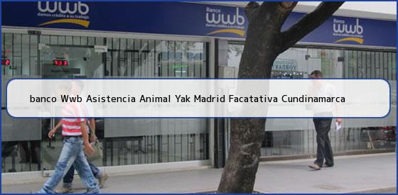 <b>banco Wwb Asistencia Animal Yak Madrid Facatativa Cundinamarca</b>