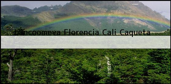 <b>bancoomeva Florencia</b> Cali Caqueta