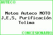 Motos Auteco MOTO J.E.S. Purificación Tolima