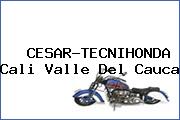  CESAR-TECNIHONDA Cali Valle Del Cauca