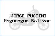 Ver jorge puccini maguangue bolivar JORGE PUCCINI Maguangue Bolivar