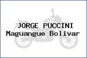 JORGE PUCCINI Maguangue Bolivar