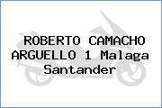 ROBERTO CAMACHO ARGUELLO 1 Malaga Santander