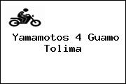 Yamamotos 4 Guamo Tolima