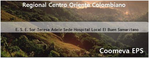 <b>E. S. E. Sor Teresa Adele - Sede Hospital Local El Buen Samaritano</b>