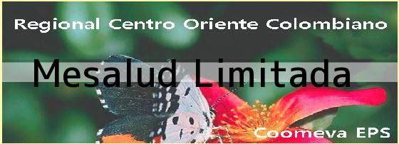<i>Mesalud Limitada</i>