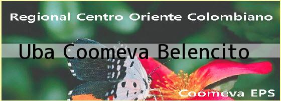<i>Uba Coomeva Belencito</i>