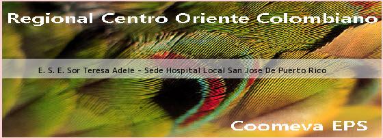 <b>E. S. E. Sor Teresa Adele - Sede Hospital Local San Jose De Puerto Rico</b>