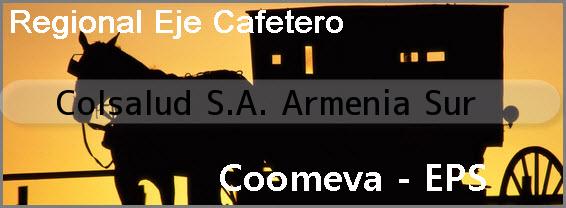 <i>Colsalud S.A. Armenia Sur</i>