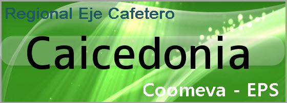 <u>Caicedonia</u>