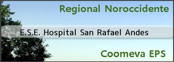 <i>E.S.E. Hospital San Rafael Andes</i>