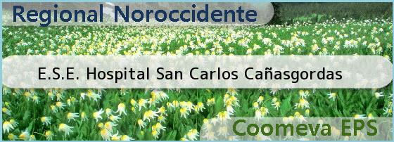 <i>E.S.E. Hospital San Carlos Cañasgordas</i>