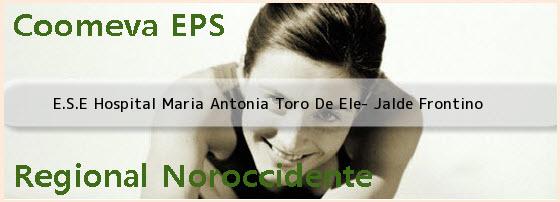<i>E.S.E Hospital Maria Antonia Toro De Ele- Jalde Frontino</i>
