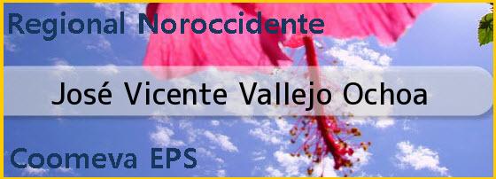 Ver jose vicente vallejo ochoa <i>José Vicente Vallejo Ochoa</i>