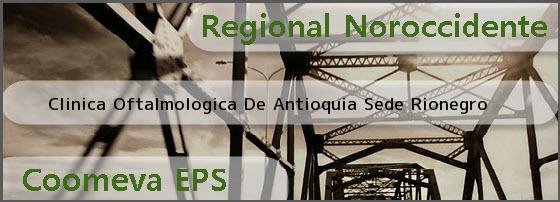 <i>Clinica Oftalmologica De Antioquia Sede Rionegro</i>