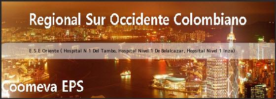 E.S.E Oriente ( Hospital N 1 Del Tambo, Hospital Nivel 1 De Belalcazar, Hopsital Nivel 1 Inza)
