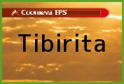 Tibirita