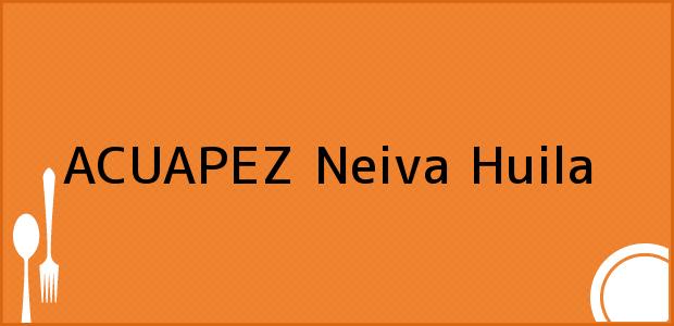 Teléfono, Dirección y otros datos de contacto para ACUAPEZ, Neiva, Huila, Colombia