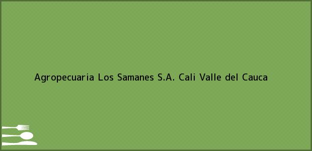 Teléfono, Dirección y otros datos de contacto para Agropecuaria Los Samanes S.A., Cali, Valle del Cauca, Colombia