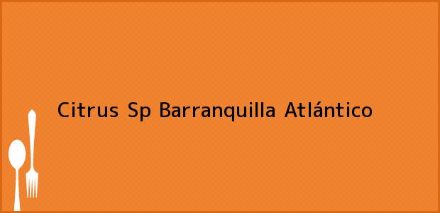 Teléfono, Dirección y otros datos de contacto para Citrus Sp, Barranquilla, Atlántico, Colombia
