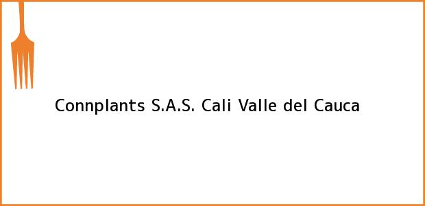 Teléfono, Dirección y otros datos de contacto para Connplants S.A.S., Cali, Valle del Cauca, Colombia