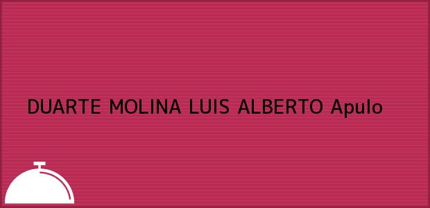 Teléfono, Dirección y otros datos de contacto para DUARTE MOLINA LUIS ALBERTO, Apulo, , Colombia