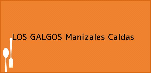 Teléfono, Dirección y otros datos de contacto para LOS GALGOS, Manizales, Caldas, Colombia