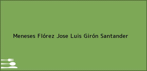 Teléfono, Dirección y otros datos de contacto para Meneses Flórez Jose Luis, Girón, Santander, Colombia