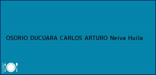 Teléfono, Dirección y otros datos de contacto para OSORIO DUCUARA CARLOS ARTURO, Neiva, Huila, Colombia