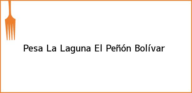 Teléfono, Dirección y otros datos de contacto para Pesa La Laguna, El Peñón, Bolívar, Colombia